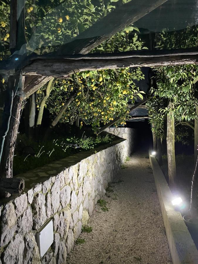 "Il Fienile Di Zia Teresa" Villa Massa Lubrense Eksteriør bilde